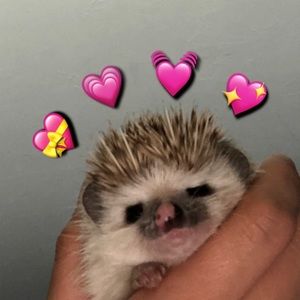 Meet your Posher, Kaylee